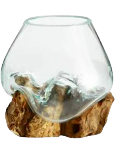20cm Wurzelholz mit Glas